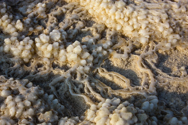 Similar image 20160765