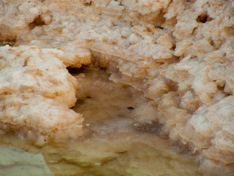 Similar image 20160766