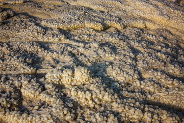 Similar image 20160767