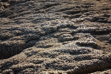 Similar image 20160768