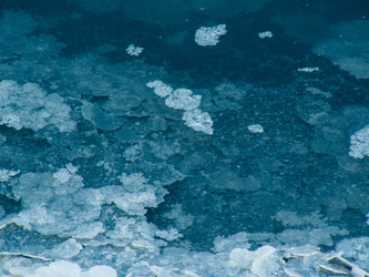 Similar image 20160772