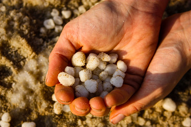 Similar image 20160788