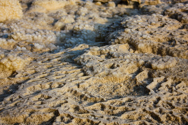 Similar image 20160790