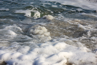 Similar image 20160696