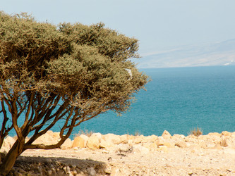 Similar image 20160748