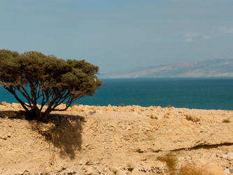 Similar image 20160776