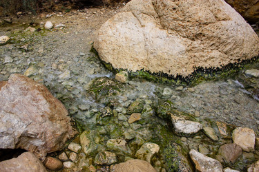 Similar image 20160793