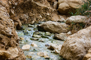 Similar image 20160797