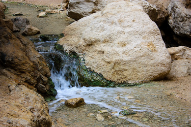 Similar image 20160774