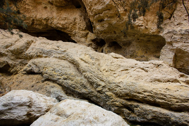 Similar image 20160799