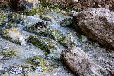 Similar image 20160778