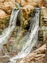 Similar image 20160794