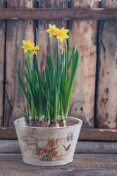 Similar image 19944928