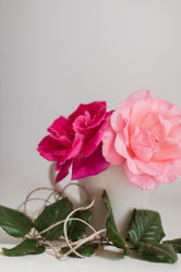 Similar image 19944937