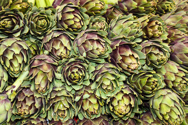 Similar image 20160725