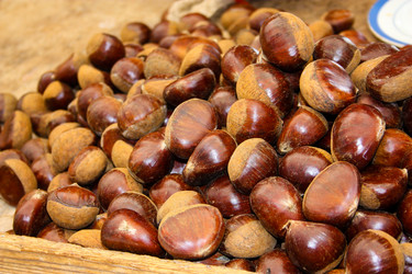 Similar image 20160726