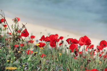 Similar image 19944776