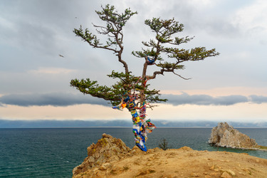 Similar image 20110141