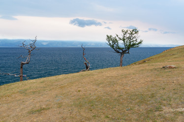 Similar image 20113701