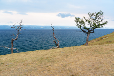 Similar image 20110214