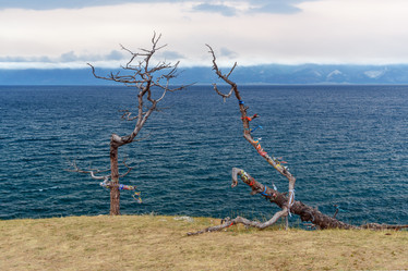 Similar image 20110226