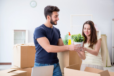 Similar image 20151681