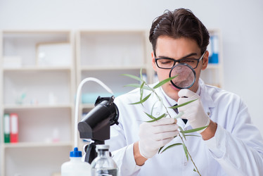 Similar image 20151705