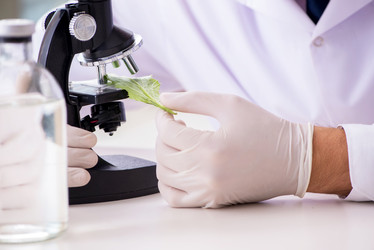 Similar image 20151715