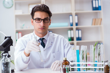 Similar image 20151721