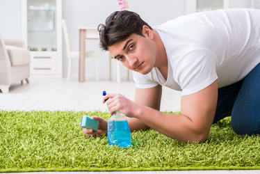 Similar image 20152445