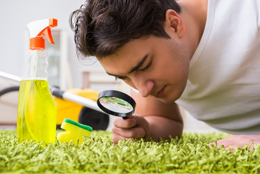 Similar image 20152506