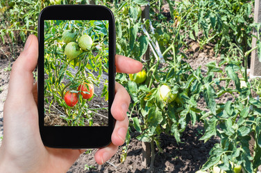 Similar image 19967768