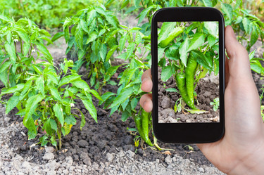 Similar image 19967770