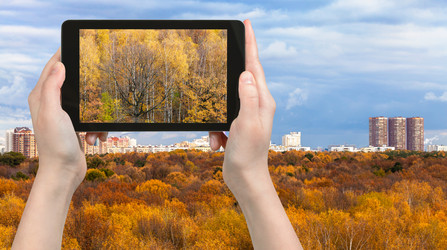 Similar image 19968838