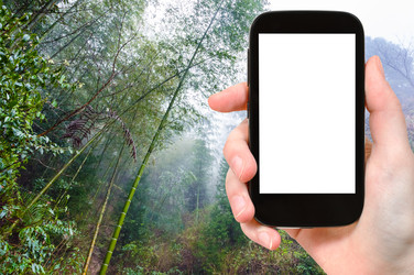 Similar image 19968902