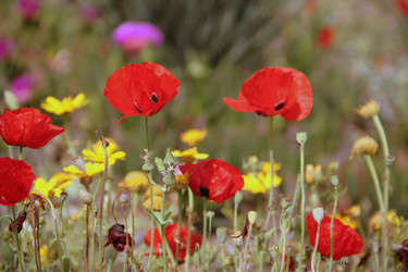 Similar image 19944564