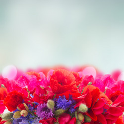 Similar image 20070054