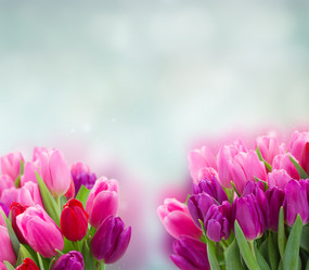 Similar image 20070055