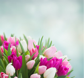 Similar image 20070057