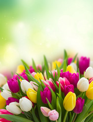 Similar image 20070058