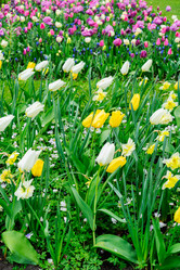 Similar image 20070064