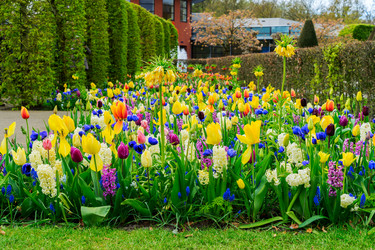 Similar image 20070065