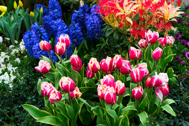 Similar image 20070066