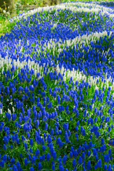 Similar image 20070067