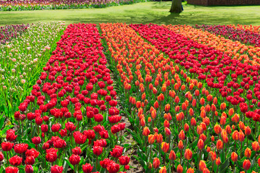 Similar image 20070068