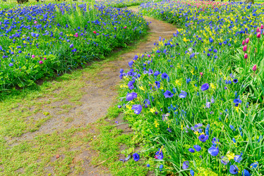 Similar image 20070070