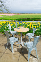 Similar image 20070071