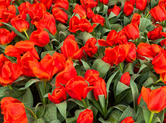 Similar image 20070072