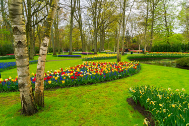 Similar image 20070073