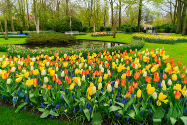 Similar image 20070074